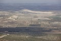 Olive tree fields in Andalusia. Spanish agricultural harvest landscape. Spain Royalty Free Stock Photo