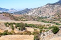 Olive tree fields and mountains by Montecorto, Spain Royalty Free Stock Photo