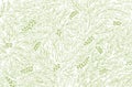 Olive tree foliage pattern background. Olive-tree wrapper. Green leaves line contour. Vector Illustration hand-drawn.