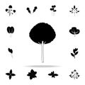 olive tree icon. Plants icons universal set for web and mobile Royalty Free Stock Photo