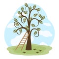 The olive tree and a ladder Royalty Free Stock Photo