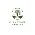 Olive tree logo designs with creeks or rivers symbol Royalty Free Stock Photo