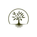 Stylized Olive Tree with Roots Logo Royalty Free Stock Photo