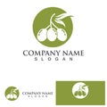 Olive tree logo vector illustration design template Royalty Free Stock Photo