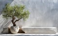 Olive tree in a minimalist courtyard with a stone bench and modern design elements Royalty Free Stock Photo