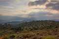 Olive tree orchards in Sierra Nevada mountains with dark threatening clouds