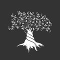 Olive tree outline curl silhouette icon isolated on dark background. Royalty Free Stock Photo