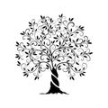 Olive tree outline curl silhouette Royalty Free Stock Photo