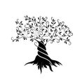 Olive tree outline curl silhouette Royalty Free Stock Photo