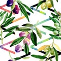 Olive tree pattern in a watercolor style.