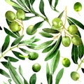 Olive tree pattern in a watercolor style isolated.