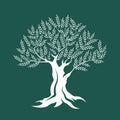 Olive tree silhouette icon isolated on green background. Royalty Free Stock Photo