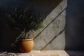 Olive tree in a stone pot over the wall with natural sunlight, generative ai Royalty Free Stock Photo