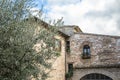 Olive tree on the street in the Umbrian town of Spello, Italy