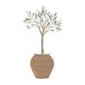 Olive tree in a stylish clay pot isolated on white background. Home plant decor element. Vector illustration Royalty Free Stock Photo