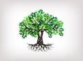 Olive tree vector hand drawing Royalty Free Stock Photo