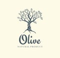 Olive tree vector logo design template for oil. Tree olive silhouette Royalty Free Stock Photo