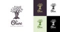 Olive tree vector logo design template for oil. Tree olive silhouette Royalty Free Stock Photo