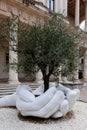 Olive tree white marble hands peace symbol, palazzo chiericati, Vicenza, Italy