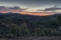 Olive trees field at sunset, Seville, Spain Royalty Free Stock Photo