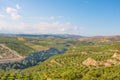 Olive trees in fields. Large olive plantations in the the mountains. Royalty Free Stock Photo