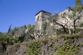 Olive trees in front of the medieval village of Biot