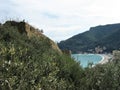 A piece of liguria