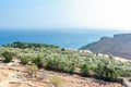 Olive trees and Mediterranean villa on Greek