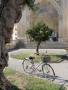 Olive Trees and a parked bicycle