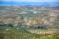 Olive Trees Plantation, Andalusian landscape, Spain, Europe Royalty Free Stock Photo