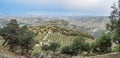 Olive trees plantation in Cazorla mountain range, Spain Royalty Free Stock Photo