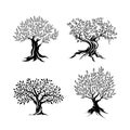 Olive trees silhouette icon set Royalty Free Stock Photo