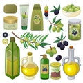 Olive vector oliveoil bottle with virgin oil and natural olivaceous ingredients for vegetarian food illustration set of Royalty Free Stock Photo