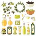 Olive vector oliveoil bottle with virgin oil and olivaceous ingredients for vegetarian food illustration set of