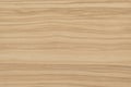 Olive Wood Background Royalty Free Stock Photo