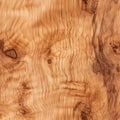 Olive Wood Texture Background, Solid Wooden Burr or Burl Pattern, Burled Wood Wallpaper, Bubinga Royalty Free Stock Photo