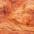 Olive Wood Texture Background, Solid Wooden Burr or Burl Pattern, Burled Wood Wallpaper, Bubinga Royalty Free Stock Photo