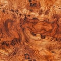 Olive Wood Texture Background, Solid Wooden Burr or Burl Pattern, Burled Wood Wallpaper, Bubinga Royalty Free Stock Photo