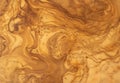 Olive Wood Texture Background, Solid Wooden Burr or Burl Pattern