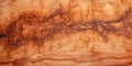 Olive Wood Texture Background, Solid Wooden Burr or Burl Pattern, Burled Wood Wallpaper, Bubinga Royalty Free Stock Photo