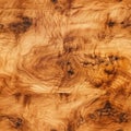 Olive Wood Texture Background, Solid Wooden Burr or Burl Pattern, Burled Wood Wallpaper, Bubinga Royalty Free Stock Photo