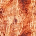 Olive Wood Texture Background, Solid Wooden Burr or Burl Pattern, Burled Wood Wallpaper, Bubinga Royalty Free Stock Photo