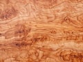 Olive Wood Texture Background, Solid Wooden Burr or Burl Pattern, Burled Wood Wallpaper, Bubinga Royalty Free Stock Photo