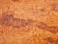 Olive Wood Texture Background, Solid Wooden Burr or Burl Pattern, Burled Wood Wallpaper, Bubinga Royalty Free Stock Photo