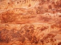 Olive Wood Texture Background, Solid Wooden Burr or Burl Pattern, Burled Wood Wallpaper, Bubinga Royalty Free Stock Photo