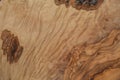 Olive wood texture background. Vintage wood. Surface of texture with natural pattern. Close up cross section of tree texture Royalty Free Stock Photo