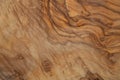 Olive wood texture background. Vintage wood. Surface of texture with natural pattern. Close up cross section of tree texture Royalty Free Stock Photo