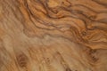 Olive wood texture background. Vintage wood. Surface of texture with natural pattern. Close up cross section of tree texture Royalty Free Stock Photo