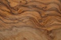 Olive wood texture background. Vintage wood. Surface of texture with natural pattern. Close up cross section of tree texture Royalty Free Stock Photo