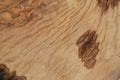 Olive wood texture background. Vintage wood. Surface of texture with natural pattern. Close up cross section of tree texture Royalty Free Stock Photo